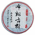 2013布朗古樹(shù)