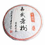 2010年易武老樹(shù)茶