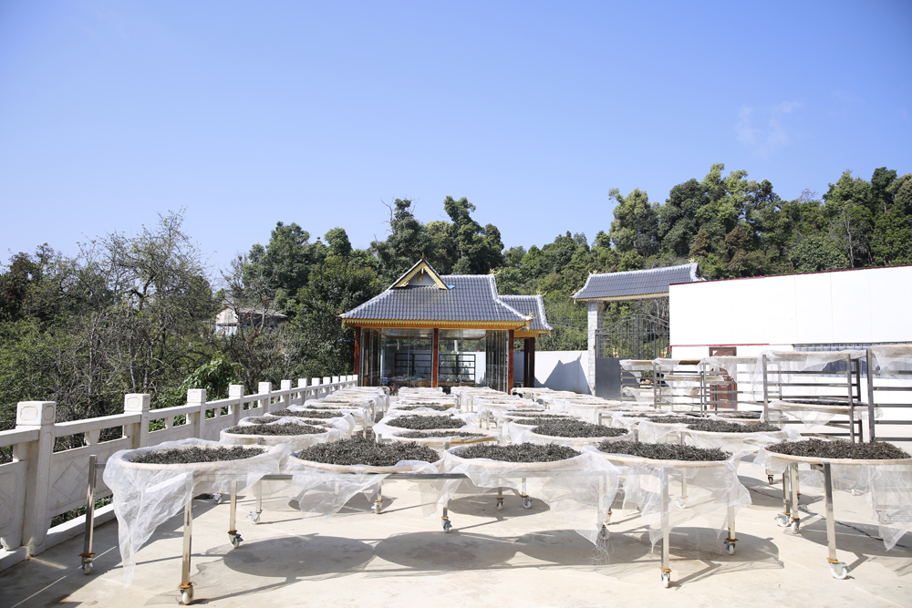 中吉號老班盆茶廠 中吉號老班盆茶廠